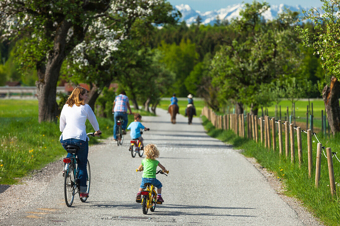 Familie fährt Fahrrad, Oberbayern, Bayern, Deutschland