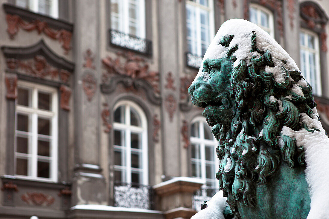 Snow covered lion bronze statue in front of Residenz, Feldherrnhalle, Odeonsplatz, Munich, Upper Bavaria, Bavaria, Germany