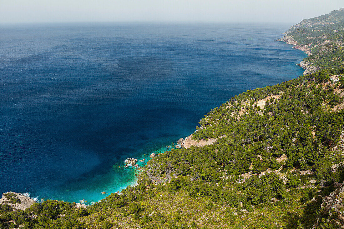 Bewaldete Küstenfelsen am Mittelmeer, Estellencs Mallorca, Spanien