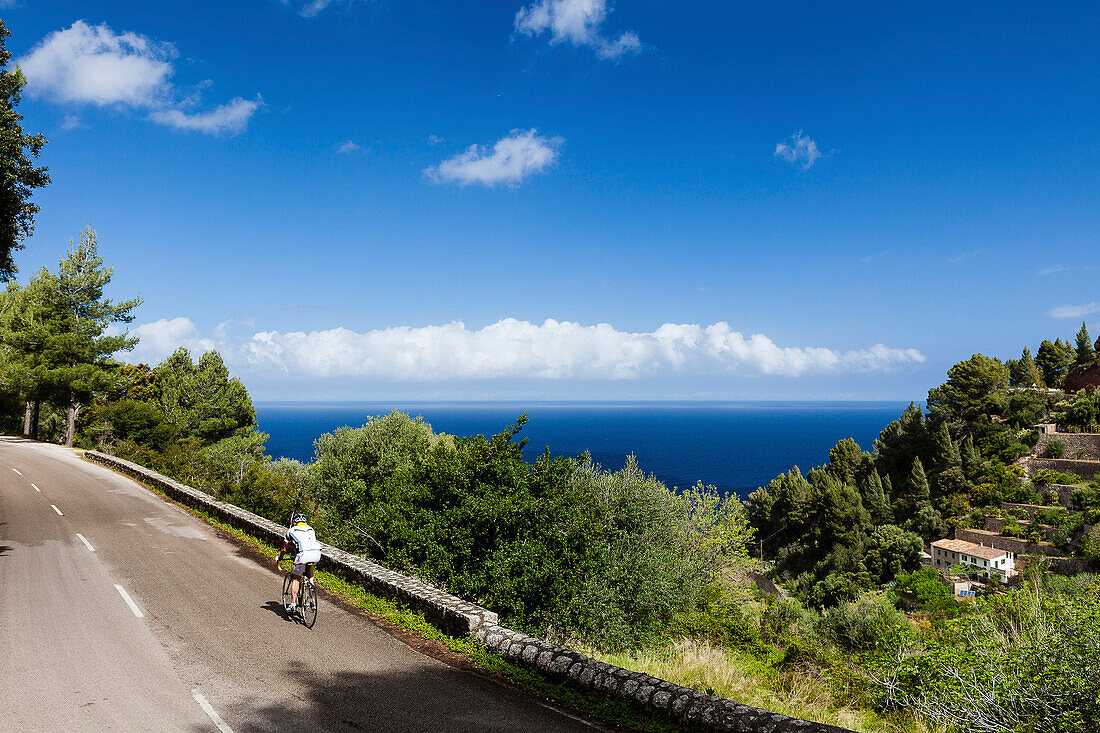 Bike racer on winding coast road, estate with terraced acreage, Banyalbufar, Mallorca, Spain
