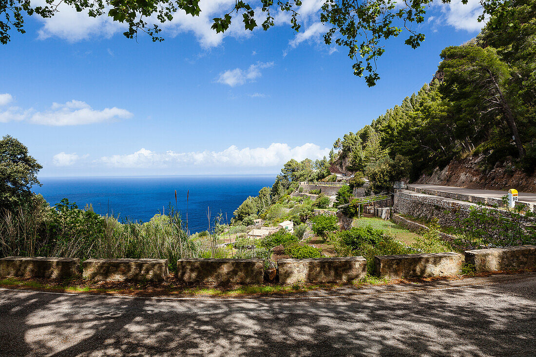 Küstenstraße am Mittelmeer, Anwesen mit Feldterassen, Banyalbufar, Mallorca, Spanien