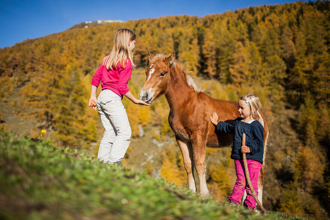 Zwei Mädchen und ein Fohlen, herbstlicher Lärchenwald,  Unterengadin, Graubünden, Schweiz