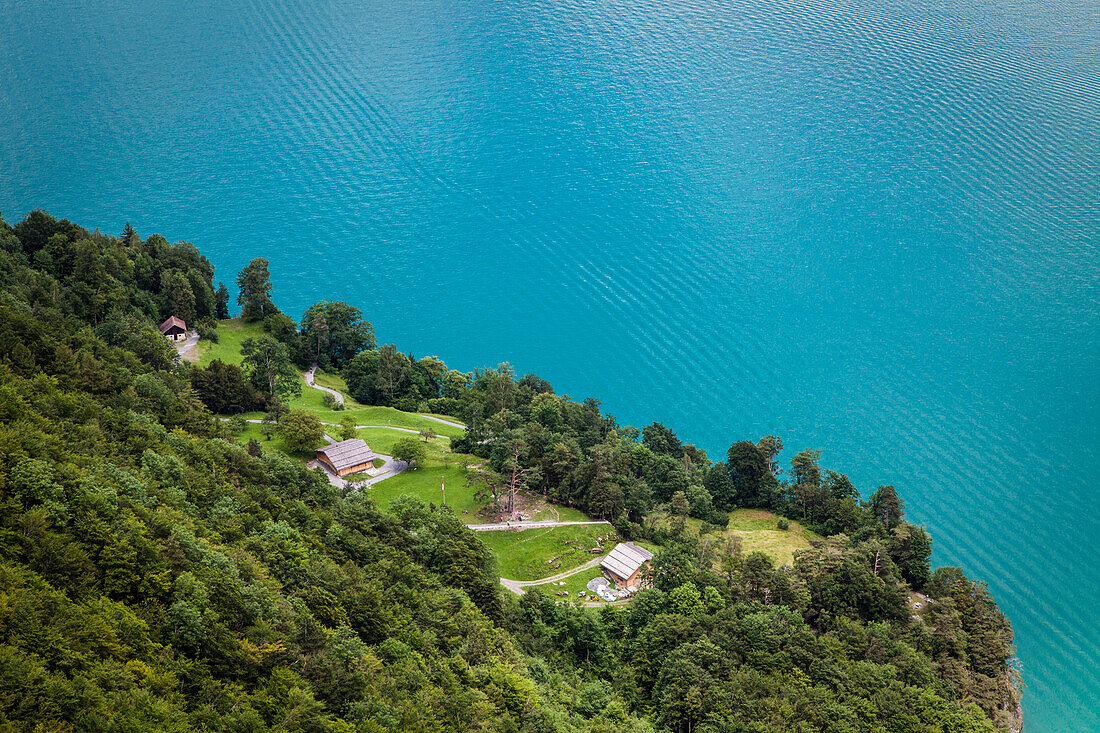 Lake Lucerne with the Ruetli meadow, the … – License image – 70414058 ...