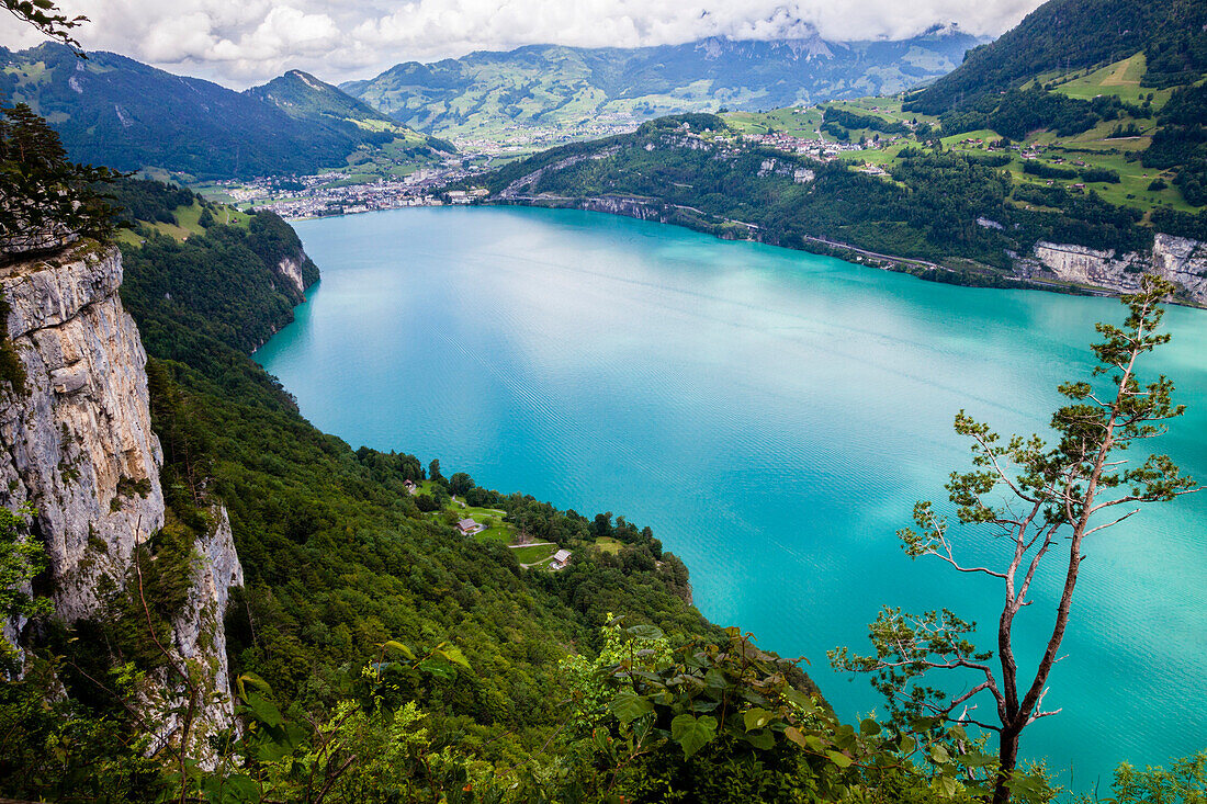 Lake Lucerne with the Ruetli meadow, the origin of Switzerland, in the background the town of Brunnen, Kanton of Uri, Central Switzerland, Europe