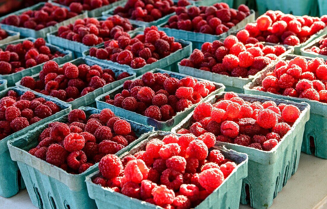 An assortment of fresh red raspberries at a local farmer´s market
