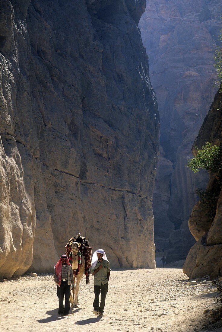 Die enge Schlucht von al-Siq ist der Haupteingang zur antiken Stadt Petra, Jordanien, Mittlerer Osten, Asien