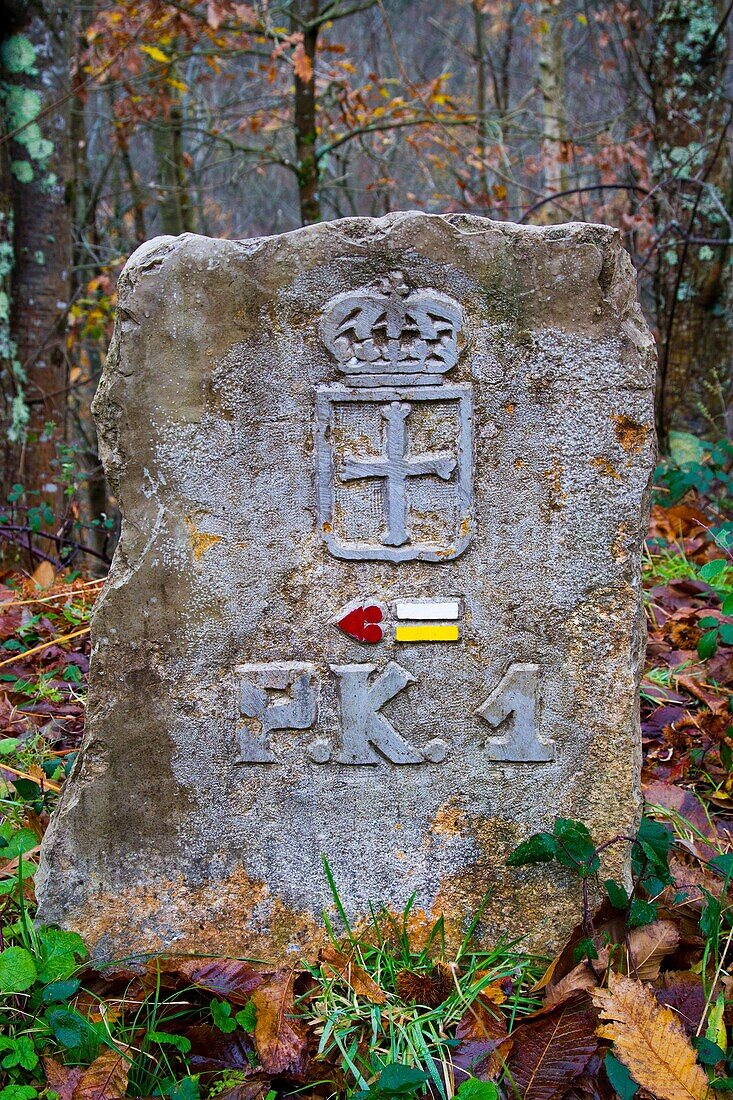 Signal on the road  Sobrescobio  Alba river route  Redes Natural Park, Asturias, Spain