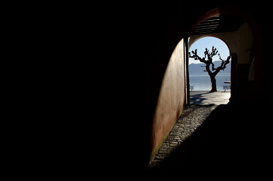 Tree and arch with shadows on lakefront in ascona switzerland