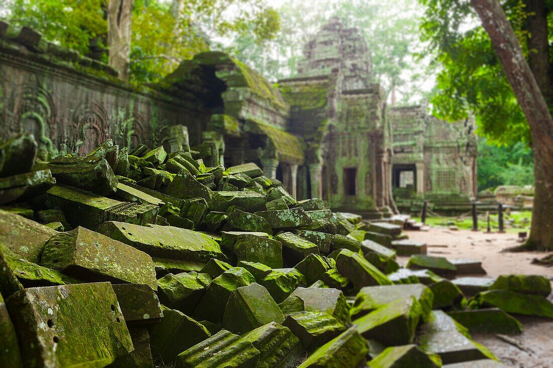 Ta Prohm is the modern name of a temple at Angkor, Siem Reap Province, Cambodia, built in the Bayon style largely in the late 12th and early 13th centuries and originally called Rajavihara Located approximately one kilometre east of Angkor Thom and on the