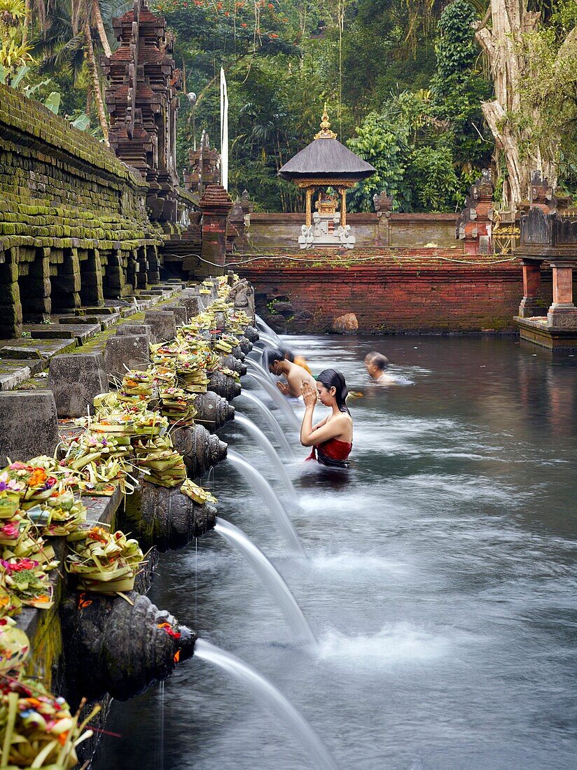 Balinese bath in the sacred waters of Tirta Empul  An ancient natural water spring feeds the baths  This area is believed to be the ancient center of the Subak culture