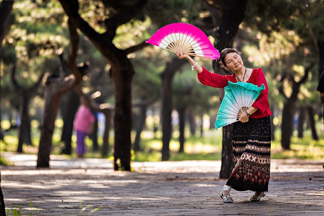 An elderly Chinese woman practices tai chi fan dance martial arts exercise early morning at the Temple of Heaven Park during summer in Beijing, China