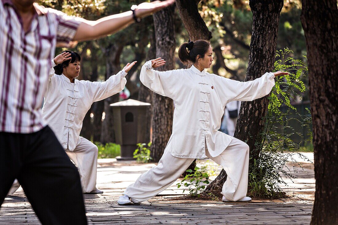 Chinese people practices tai chi martial arts exercise early morning at the Temple of Heaven Park during summer in Beijing, China