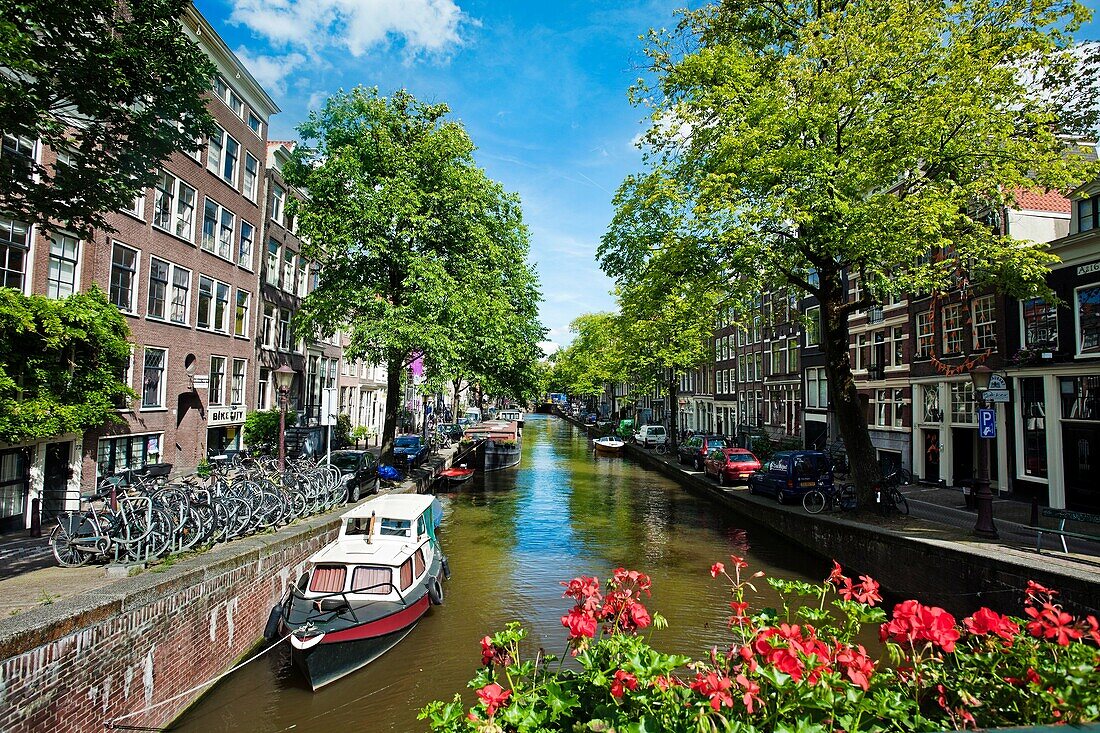 Dutch houses, Canal, Amsterdam, Netherlands.