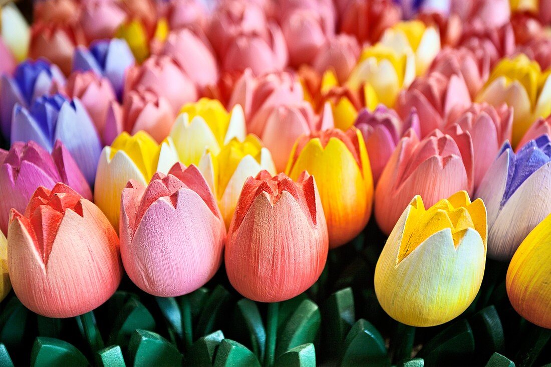 Wooden tulips, souvenirs, Flower Market, Amsterdam, Netherlands.