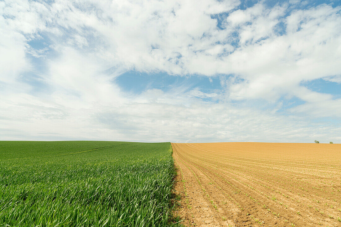 Border between crop fields