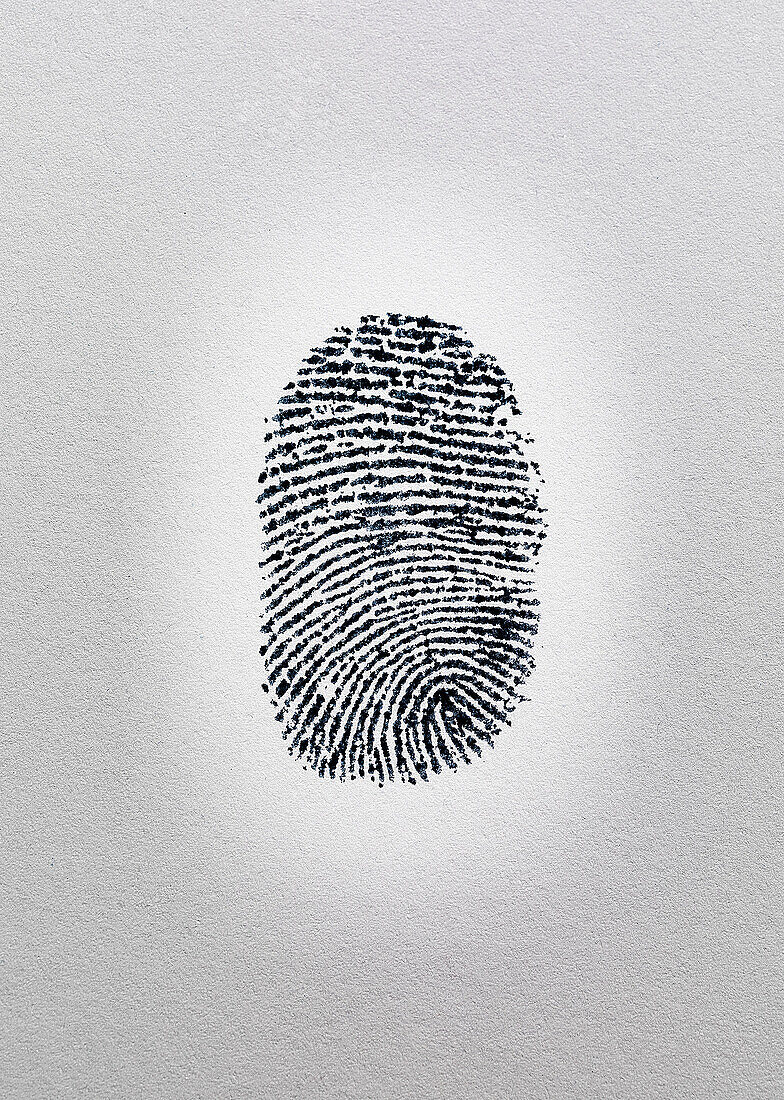 Close up of fingerprint on paper. Finger print, human black and white personnel, mark, contact, Forensic science, examination, scene of crime evidence, forensic exam,scrutiny, analytical, finger print,contamination,forensic, forensics