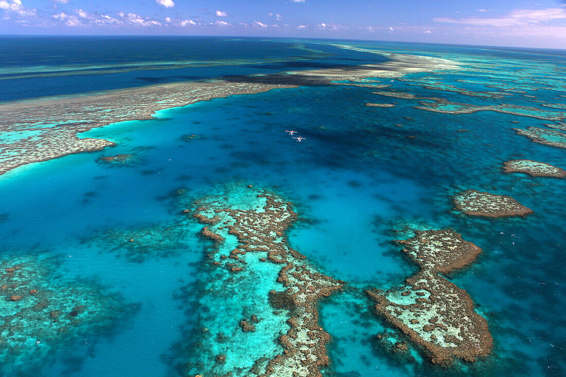 Hardy Reef, Great Barrier Reef, nature, helicopter, Queensland, Australia, flight, Whitsunday Islands, reef, from above, flight, fly, swim, Shute Harbour, coral reef, islands, island world, sea, turquoise, clear, vacation, rest, holidays, excursion, day t