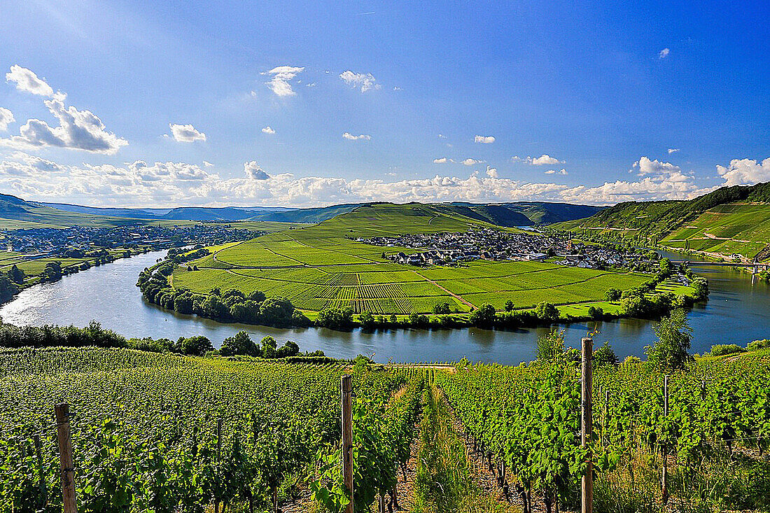 Germany, Europe, travel, Moseltal, Moselle, Trittenheim, Moselle, River, vineyards, agriculture, bend, clouds, Mosel, nature, tourism, village, wine. Germany, Europe, travel, Moseltal, Moselle, Trittenheim, Moselle, River, vineyards, agriculture, bend, cl