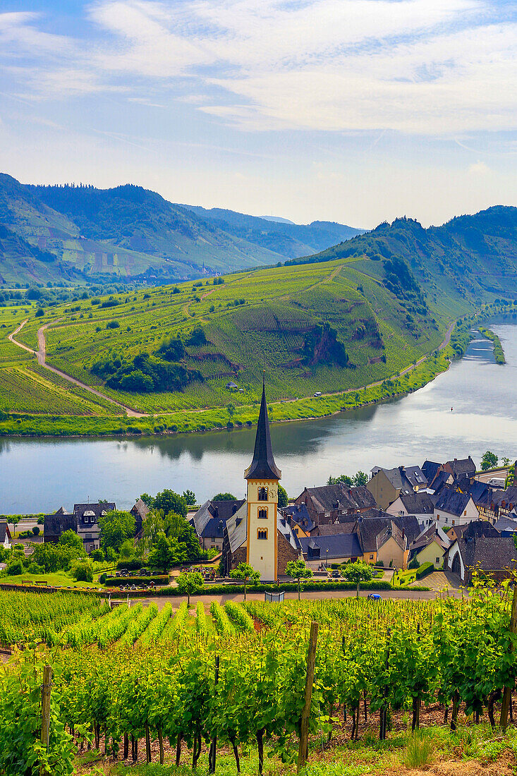 Germany, Europe, travel, Moseltal, Moselle, Valley, Bremm, agriculture, bend, church, Mosel, tourism, valley, village, vineyard, wine, agriculture. Germany, Europe, travel, Moseltal, Moselle, Valley, Bremm, agriculture, bend, church, Mosel, tourism, valle