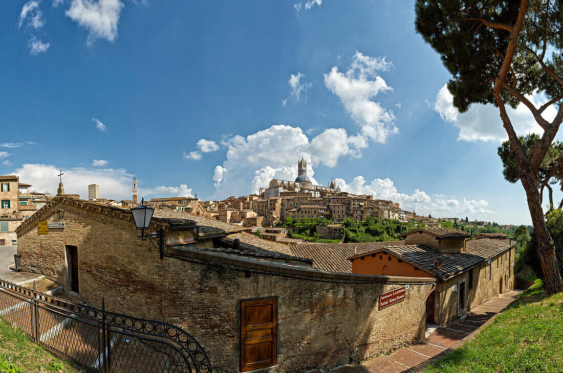 Siena, Sienna, Italy, Europe, Tuscany, Toscana, houses, homes, view, town, city,. Siena, Sienna, Italy, Europe, Tuscany, Toscana, houses, homes, view, town, city