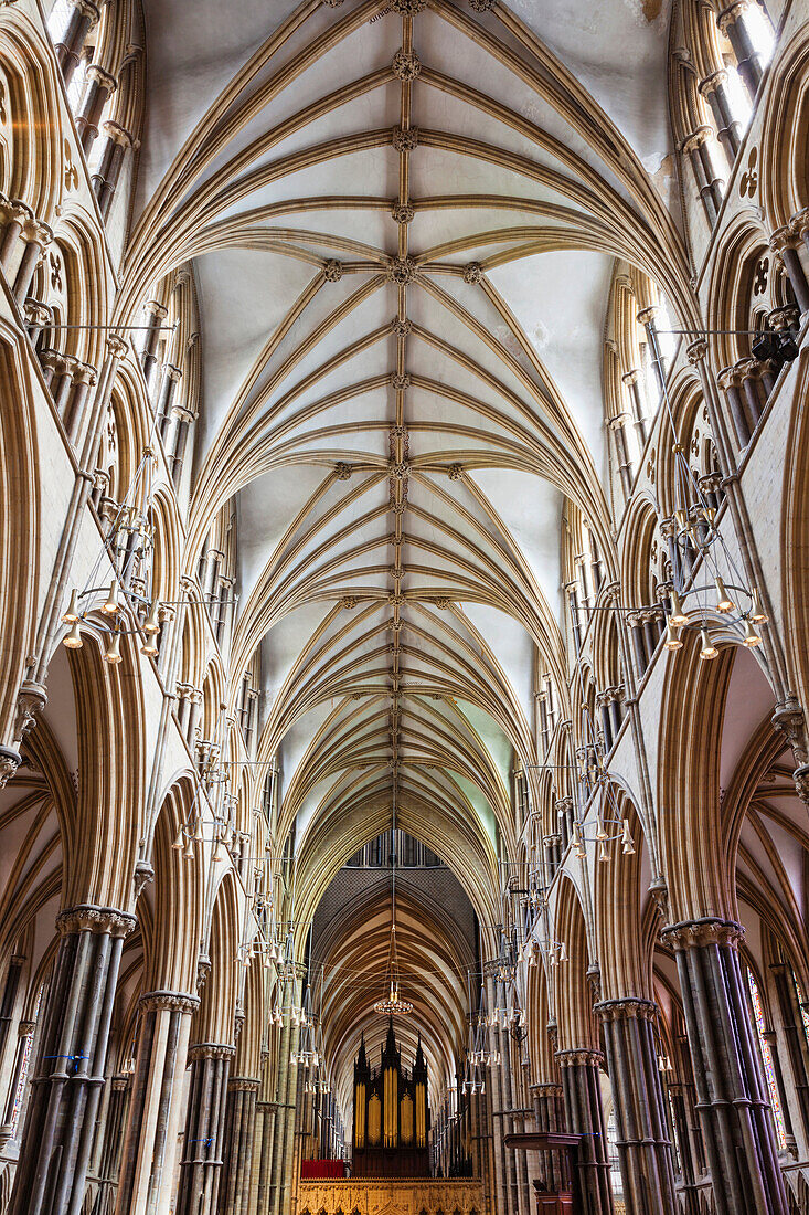 UK, United Kingdom, Great Britain, Britain, England, Europe, Lincolnshire, Lincoln, Lincoln Cathedral, Cathedral, Cathedrals, Interior. UK, United Kingdom, Great Britain, Britain, England, Europe, Lincolnshire, Lincoln, Lincoln Cathedral, Cathedral, Cathe