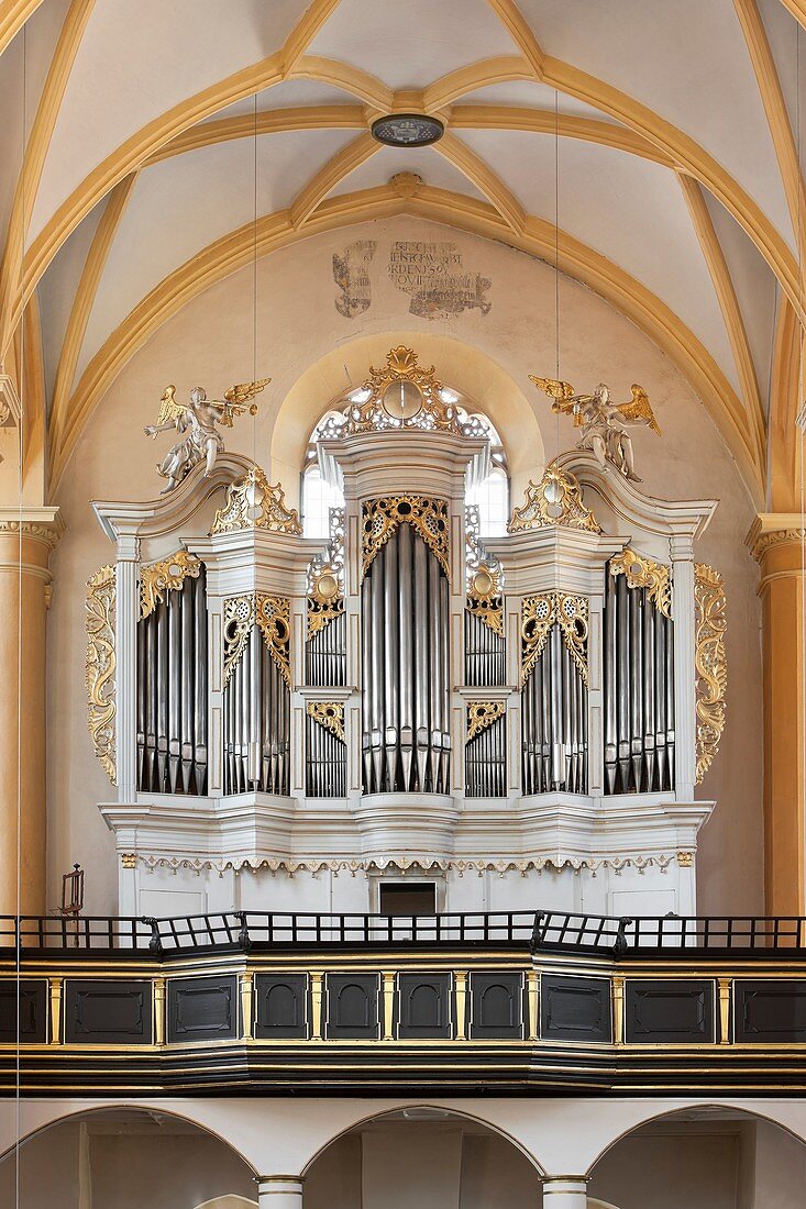 St. Vitus church, West view, Organ, Iphofen, Bavaria