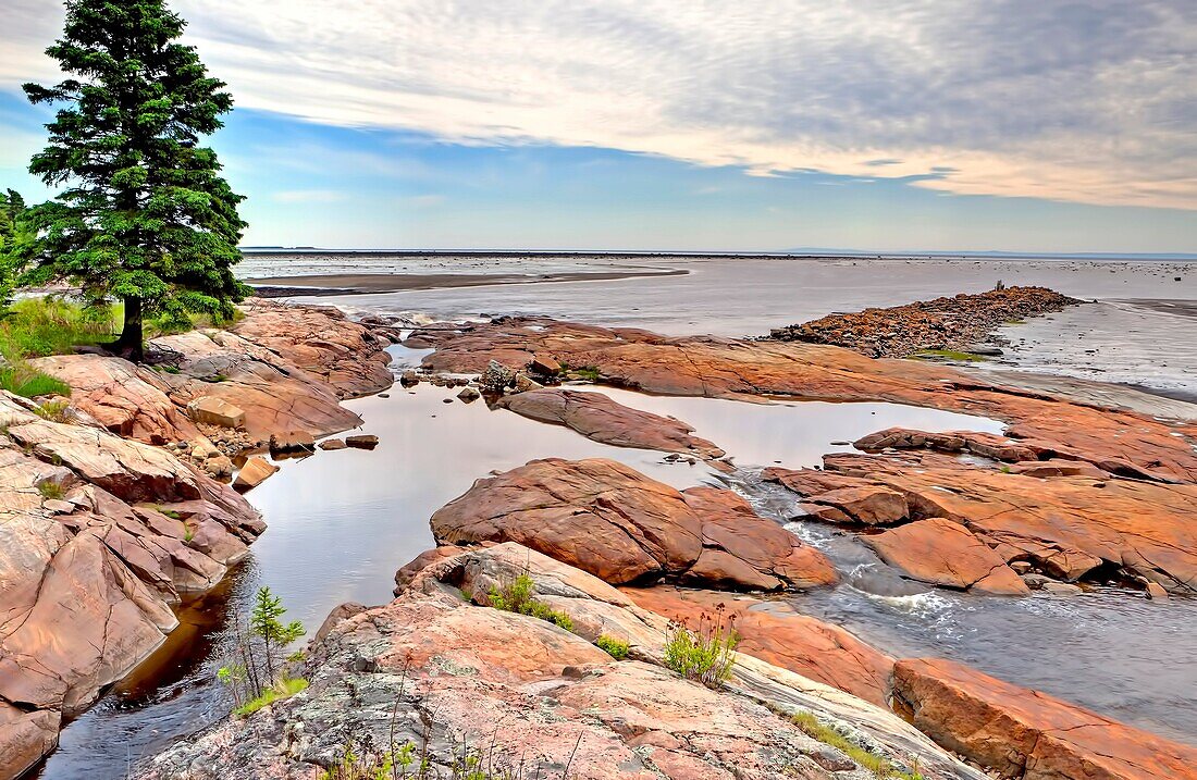 Rocky Shores, Longue Rive, North Shore, St Lawrence, Cote Nord, Quebec, Canada