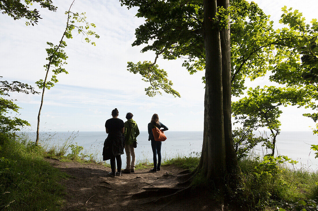 Edge of a wood with steep bank, biosphere reserve, Granitz, ruegen, Mecklenburg-West Pomerania, Germany