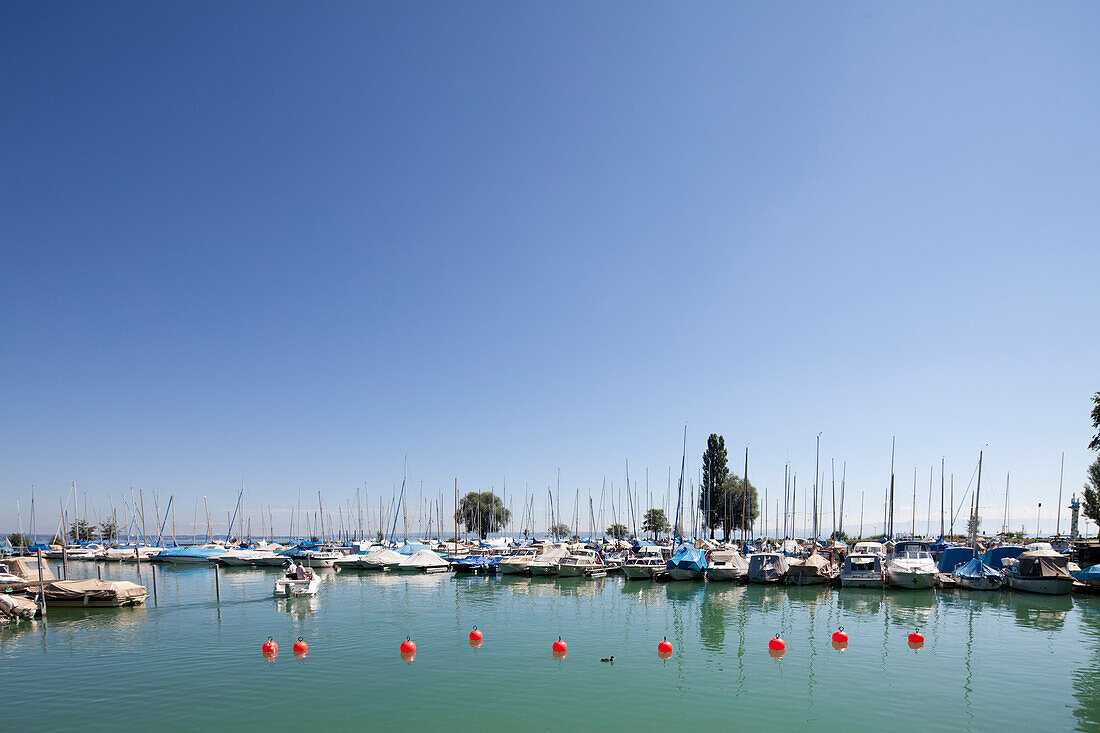 View of the harbor and Romanshorn, Lake Constance, Baden-Wuerttemberg, Germany