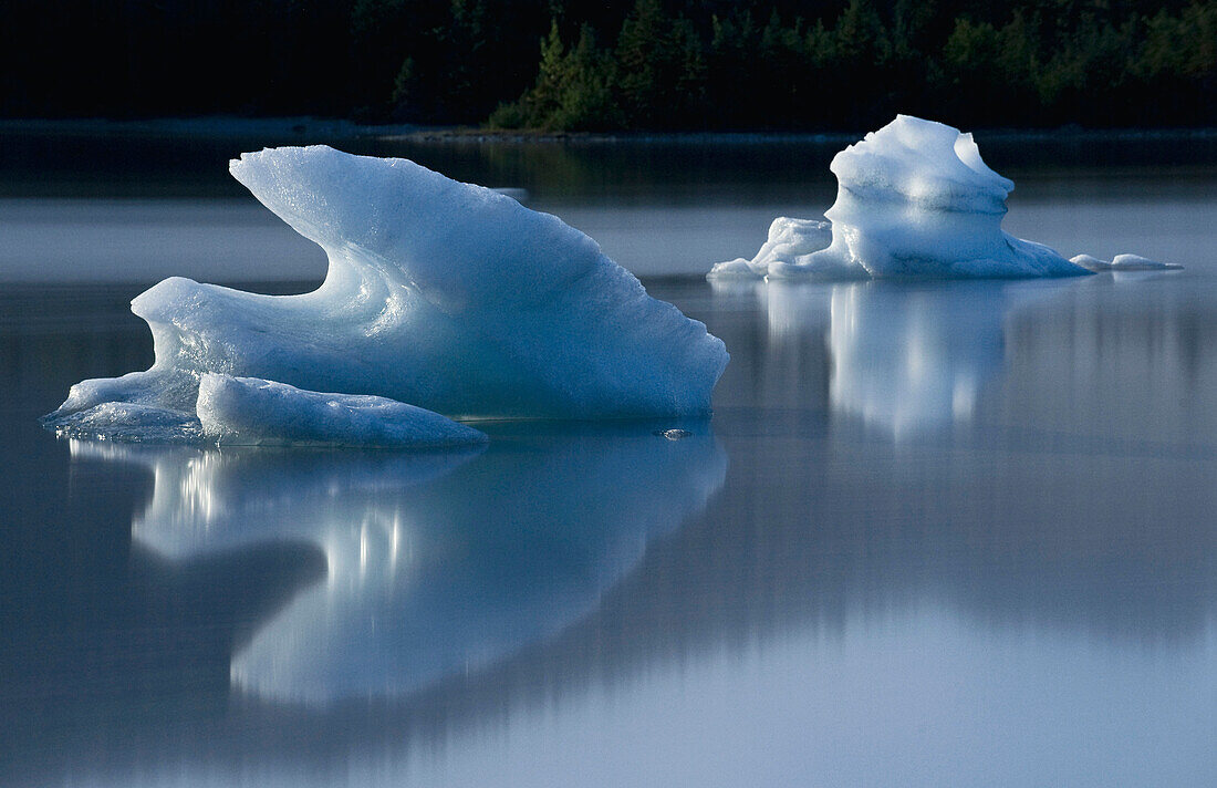 Moonlit icebergs in Mendenhall Lake, Juneau, Southeast Alaska, Summer