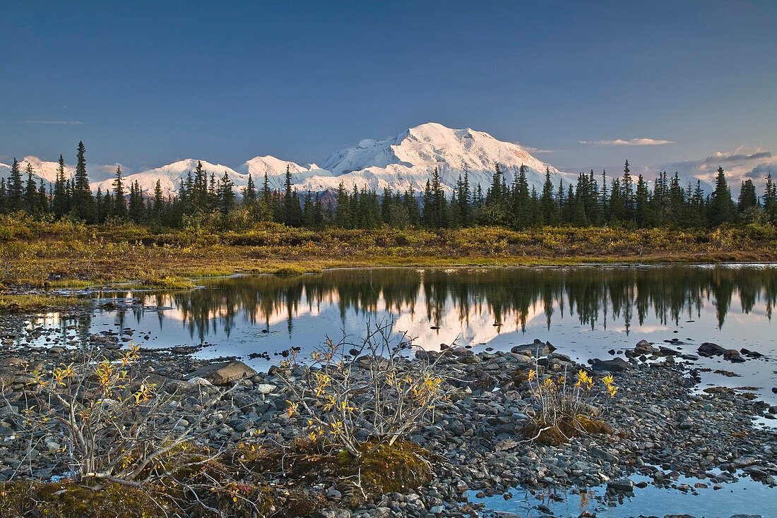 The Alaska Range and Denali's north face are reflected in small tundra pond in Denali National Park, Alaska. Fall 2008