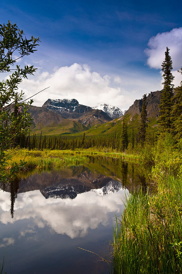 Scenic of a small pond off the Nabesna Road in Wrangell-St. Elias National Park with Skookum Volcano in the back ground, Southcentral Alaska, Summer