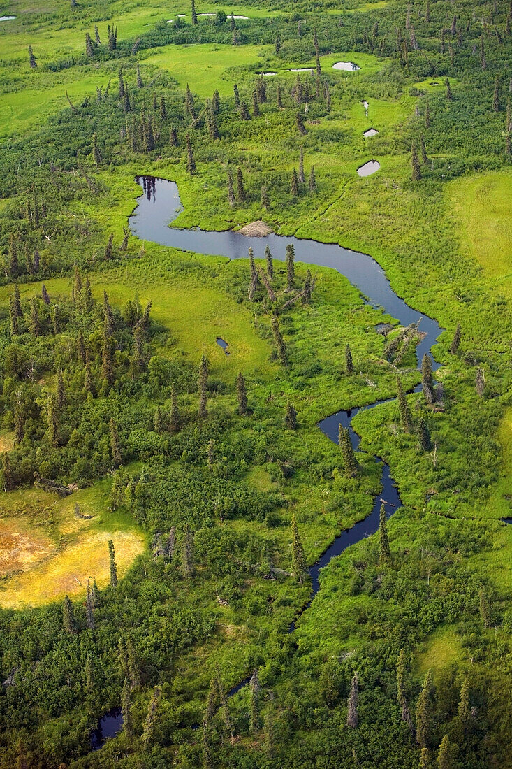 Aerial of tundra w/small creek & beaver dam lower Kuskokwim River Western Alaska Summer
