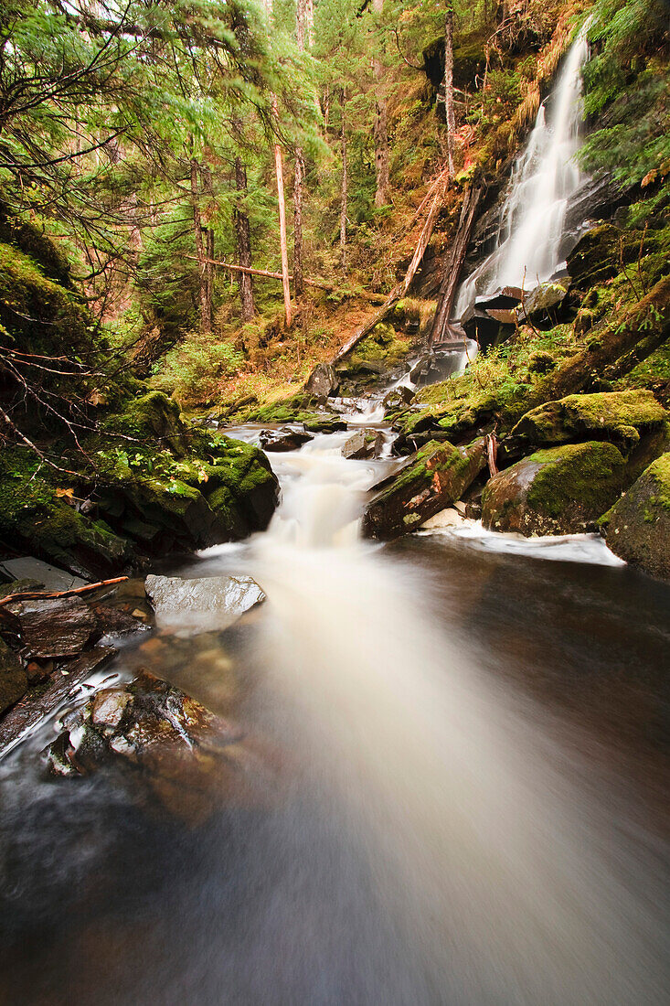 Waterfall on Institute Creek, Wrangell Island Alaska