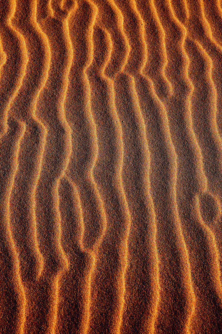 Furrows in Beach Sand