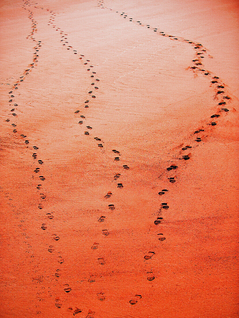Three separate lines of shoe tracks come together, hot summer day, sandy beach, Santa Cruz, California, USA