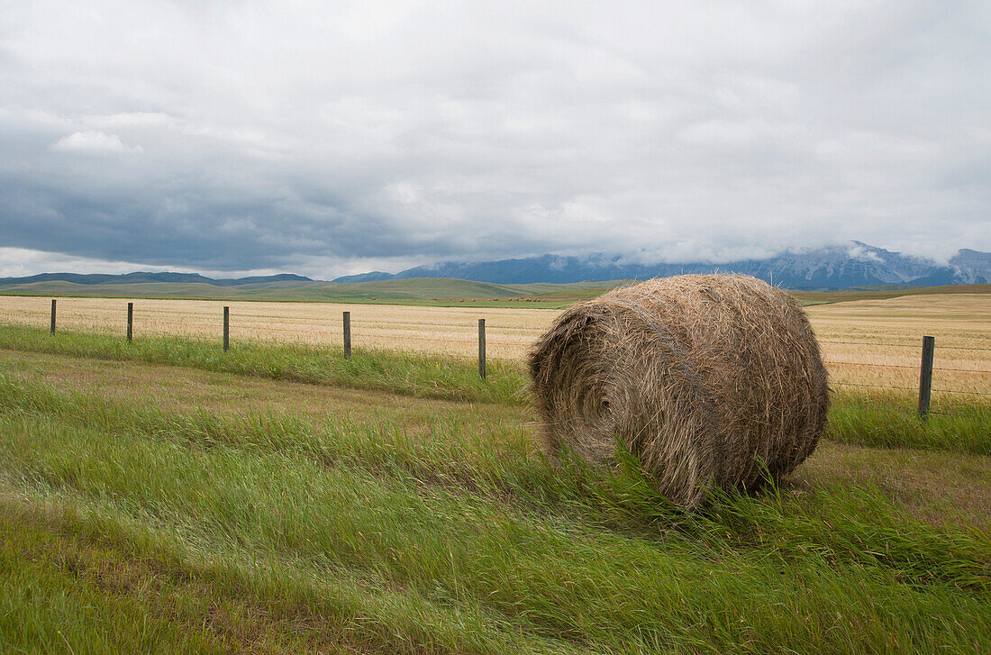 Prairie lands, agriculture landscape and cowboy country in the foothills of the Rockies. Hay bale and fence.