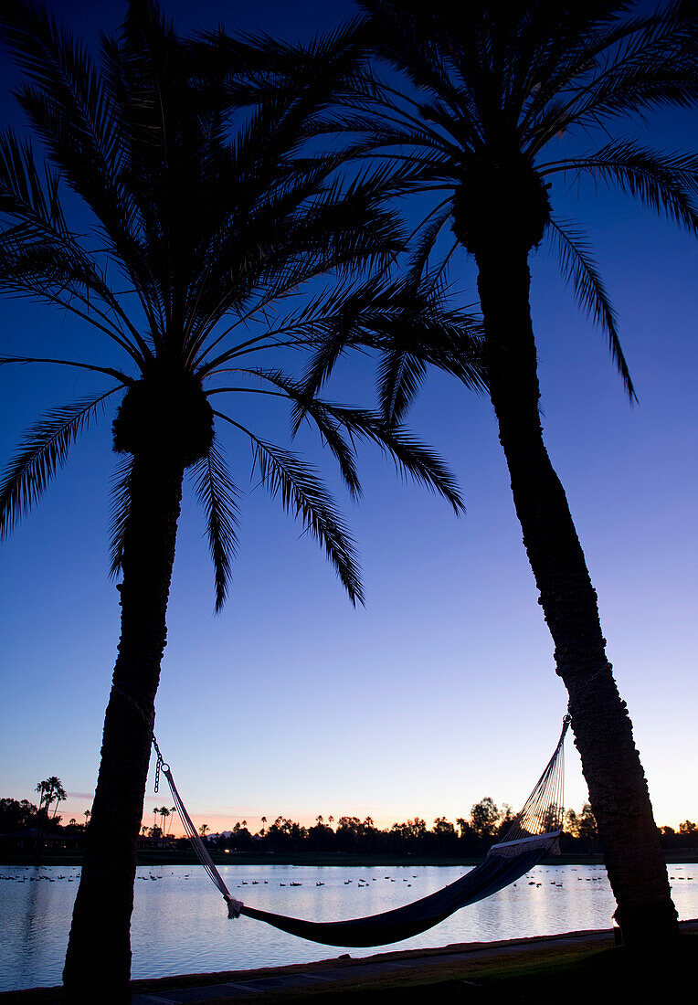 A Hammock strung between two palm trees by a lake at sunset, at Scottsdale resort.