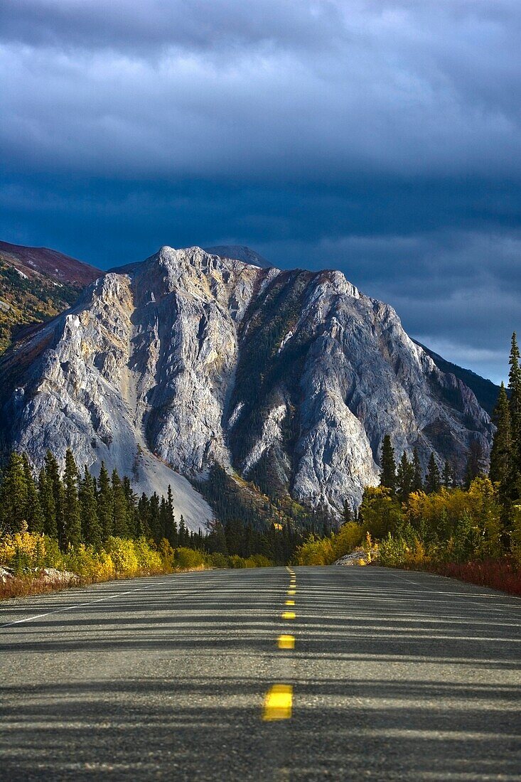 Tagish Road, Mount Nares, Yukon Territory, Canada, Roadside Trees In Autumn