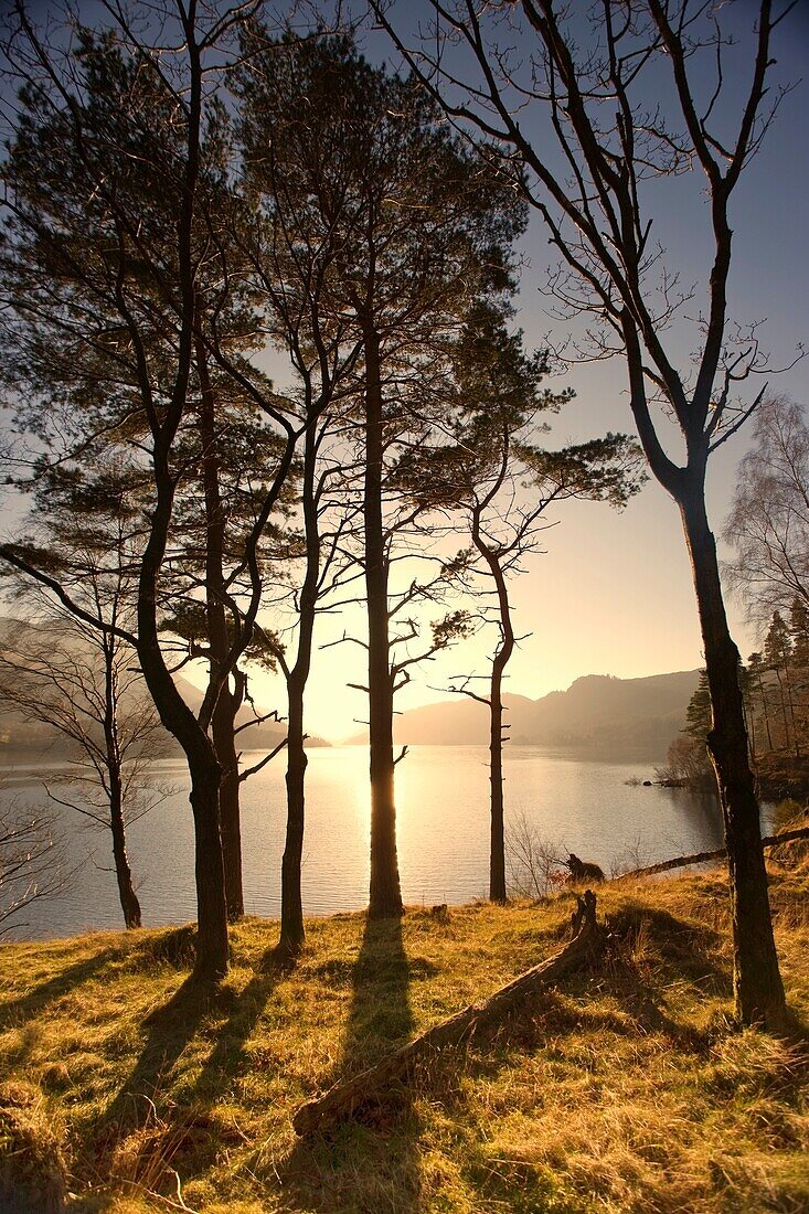 Cumbria, England, Lake Scenic At Sunrise