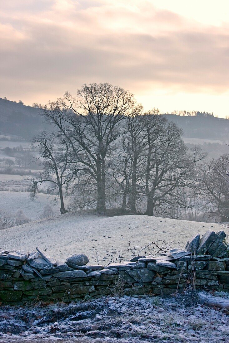 Cumbria, England, Rural Stone Fence In Winter