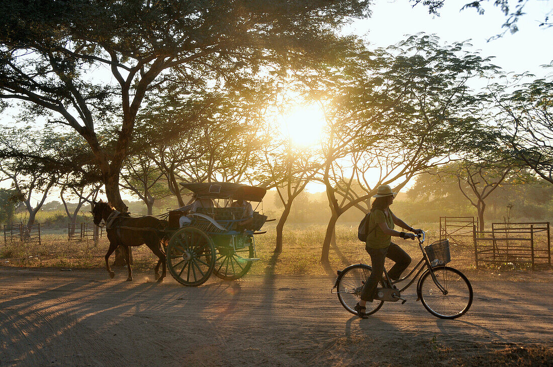 Horse carriage and cyclist, new Bagan, Bagan, Myanmar, Burma, Asia