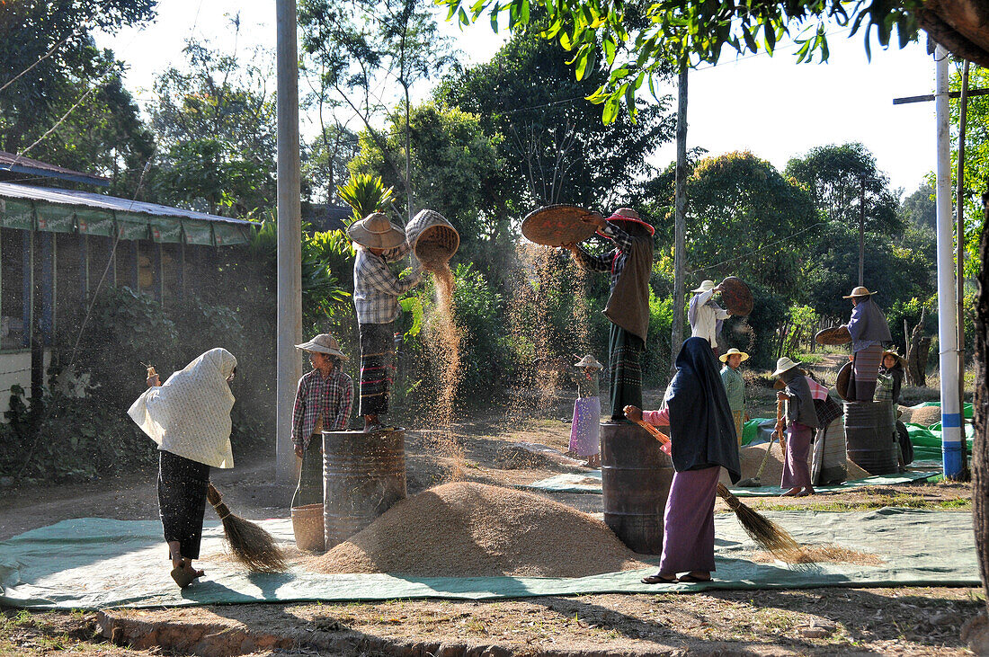 Bauern in Nyaungshwe am Inle See, Myanmar, Burma, Asien