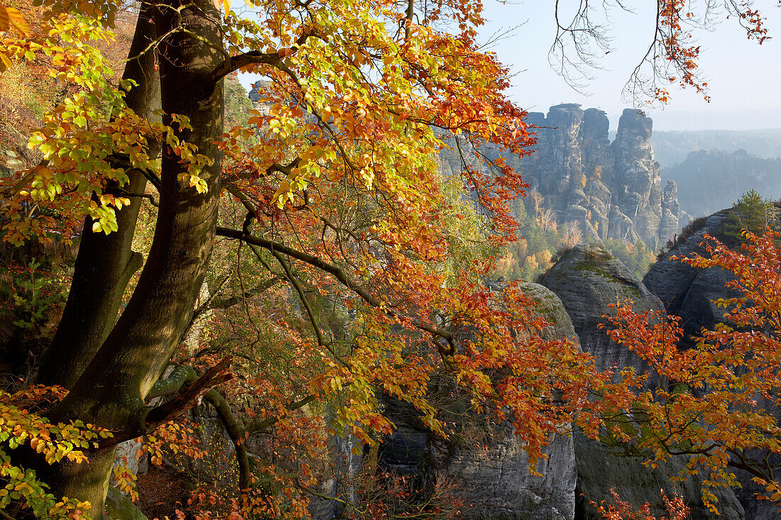 View from the Bastei towards Ganssteine, Saxon Switzerland National Park, Elbe Sandstone Mountains, Saxony, Germany