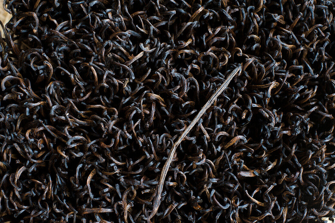 Close up of vanilla pods, Spices, Madagascar