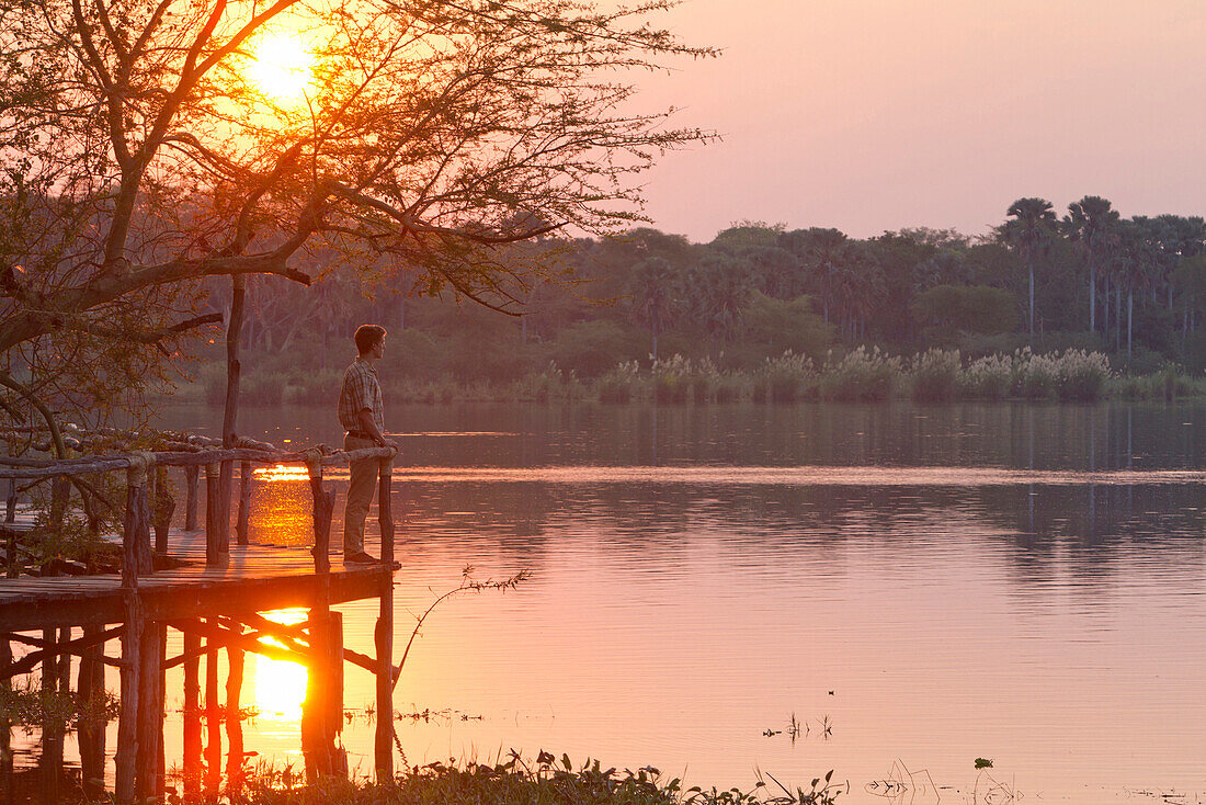 A man standing on a wooden jetty at the Shire River, Mvuu Wilderness Lodge, Liwonde National Park, Malawi, Africa