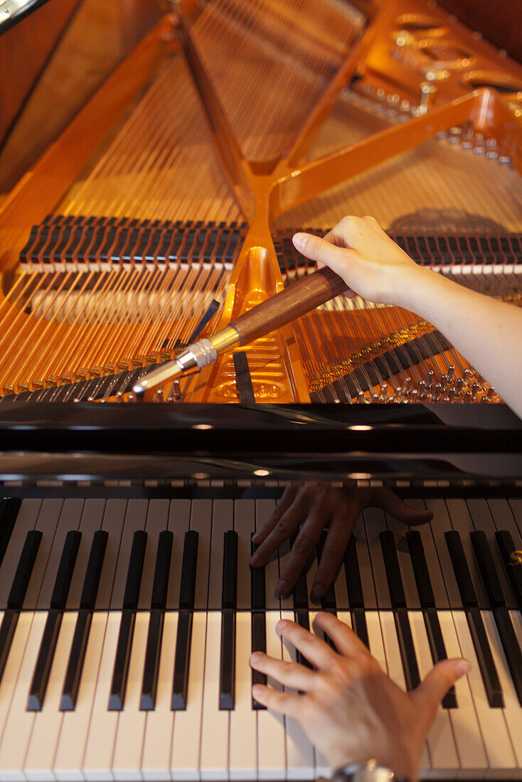Man tuning a concert piano, Schimmel piano company, Brunswick, Lower Saxony, Germany