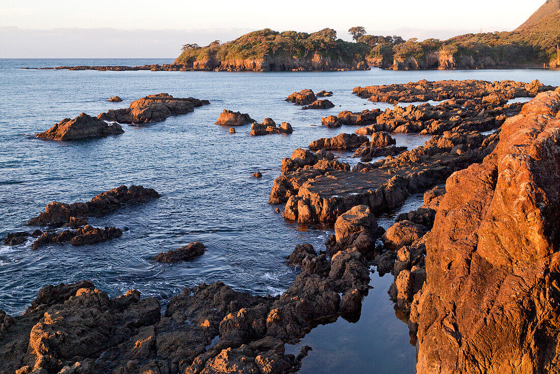 Felsenriff im Abendlicht,letzte Sonne,Whanarua Bay,East Cape,Nordinsel,Neuseeland