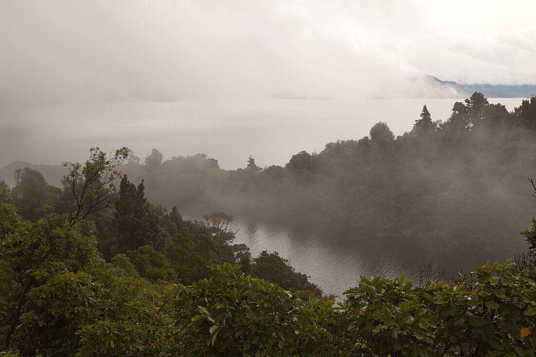 Nebelschwaden über Lake Waikaremoana,Urwald,Te Urewera National Park,Nordinsel,Neuseeland