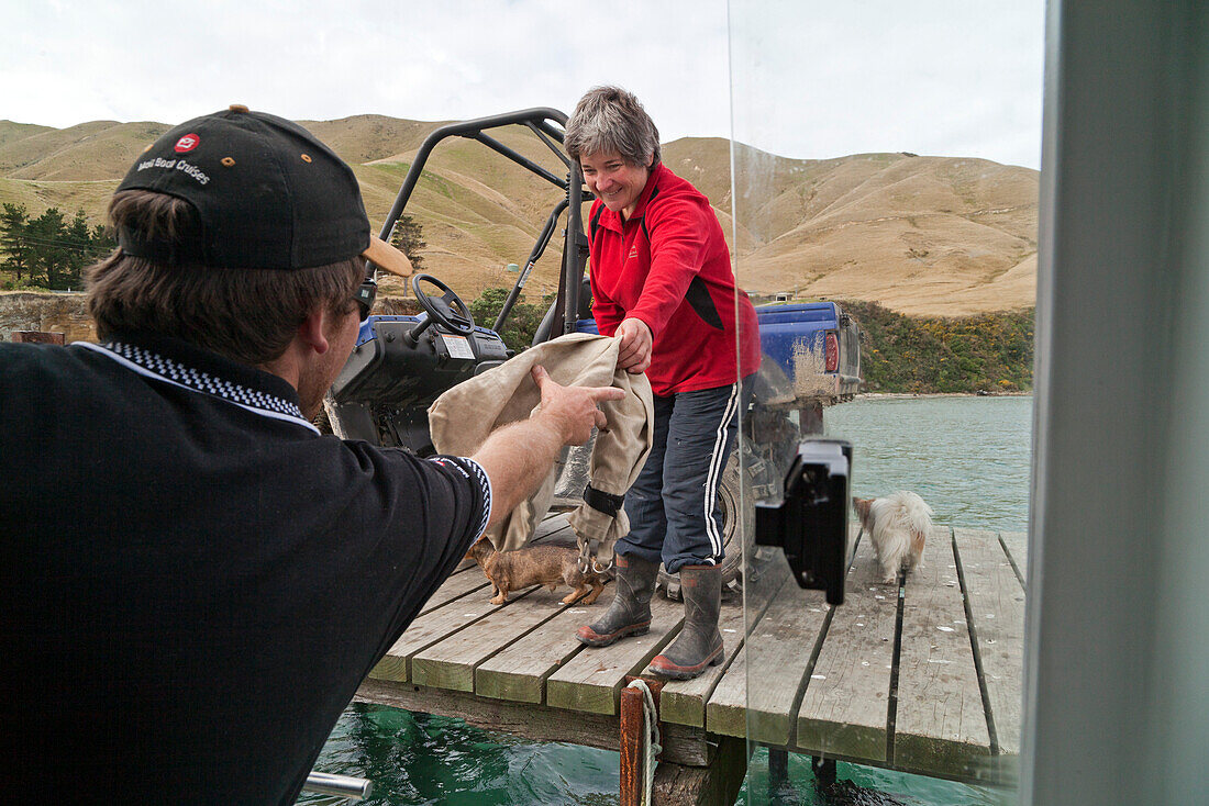 blocked for illustrated books in Germany, Austria, Switzerland: Mail delivery by mailboat, Marlborough Sounds, South Island, New Zealand